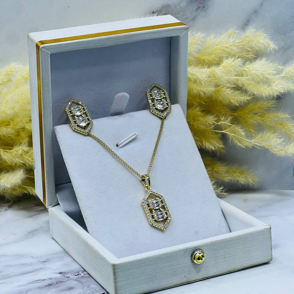 Collier et boucle en acier inoxydable